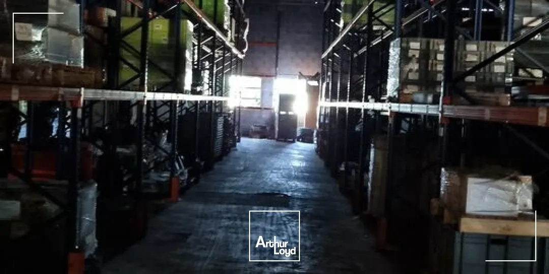 Locaux d'activité & Entrepôts - Location - DISSAY - 86130 - 240-240 - 7947549