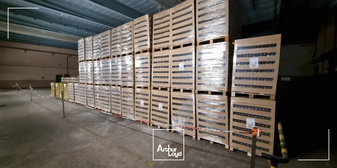 Locaux d'activité & Entrepôts - Location - DISSAY - 86130 - 240-240 - 7947543