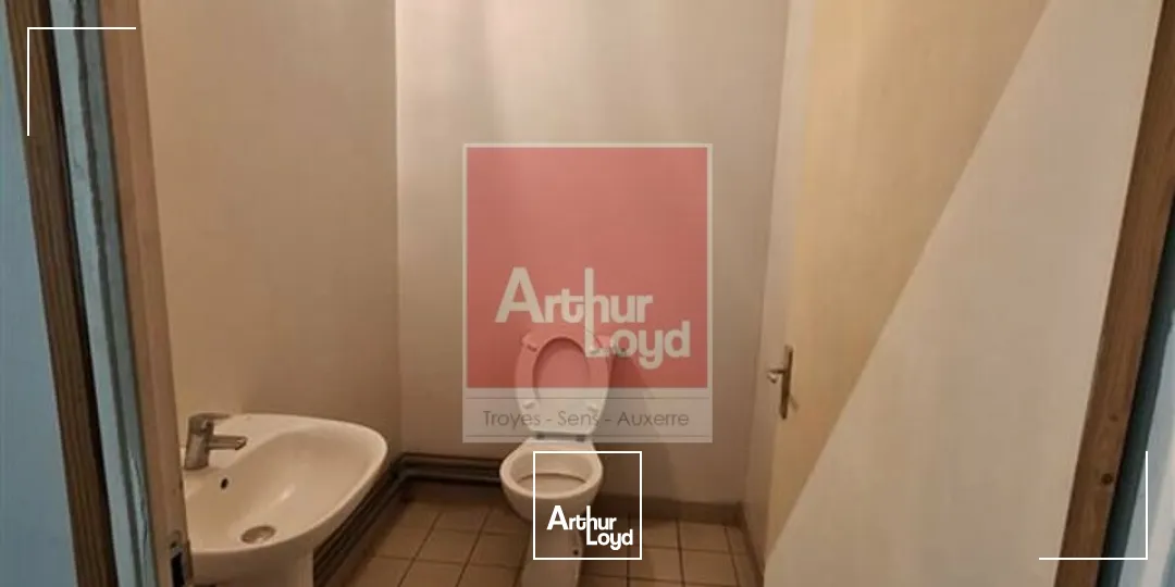 Locaux d'activité & Entrepôts - Location - AUXERRE - 89000 - 223-223 - 7947564