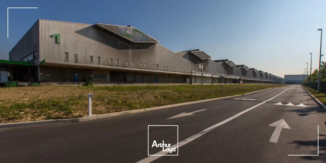Locaux d'activité & Entrepôts - Location - AULNAY SOUS BOIS - 93600 - 1152-3347 - 7948085