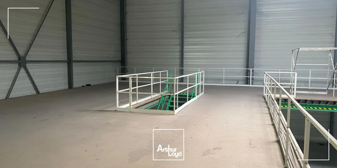 Locaux d'activité & Entrepôts - Location - ROISSY EN FRANCE - 95700 - 1237-1237 - 7948101