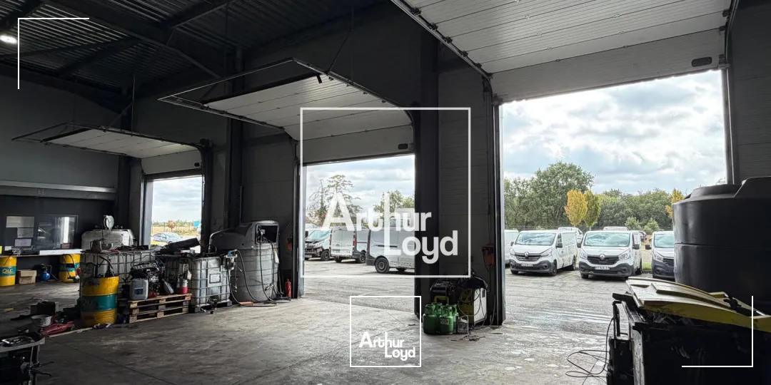 Locaux d'activité & Entrepôts - Location - PLAISANCE DU TOUCH - 31830 - 580-580 - 7950680