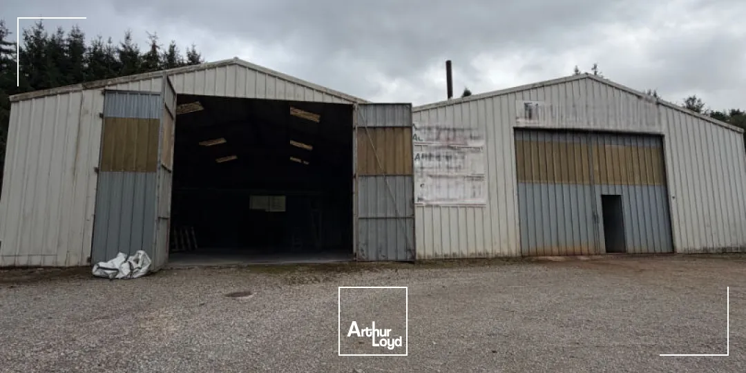 Locaux d'activité & Entrepôts - Vente - SAINT LAURENT SUR GORRE - 87310 - 478-478 - 7950908