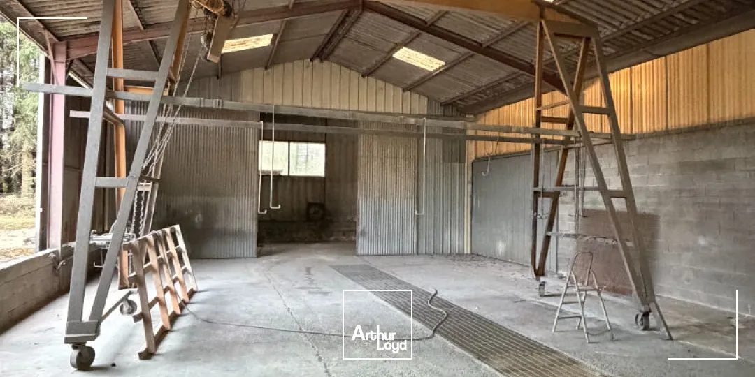 Locaux d'activité & Entrepôts - Vente - SAINT LAURENT SUR GORRE - 87310 - 478-478 - 7950910