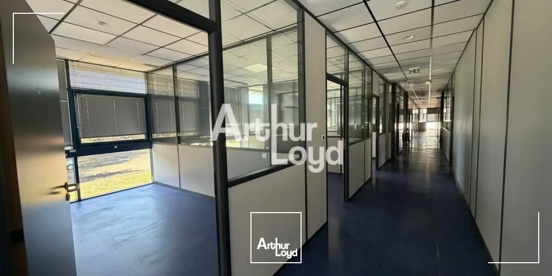 Bureaux - Location - LE MANS - 72100 - 1684-1684 - 7951069