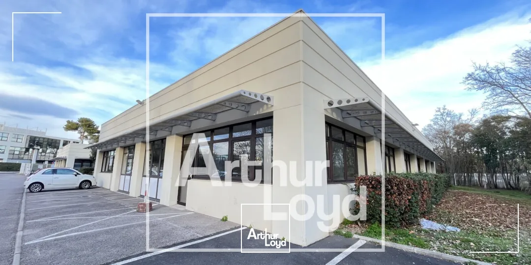Bureaux - Location - MONTPELLIER - 34000 - 382-382 - 7951443