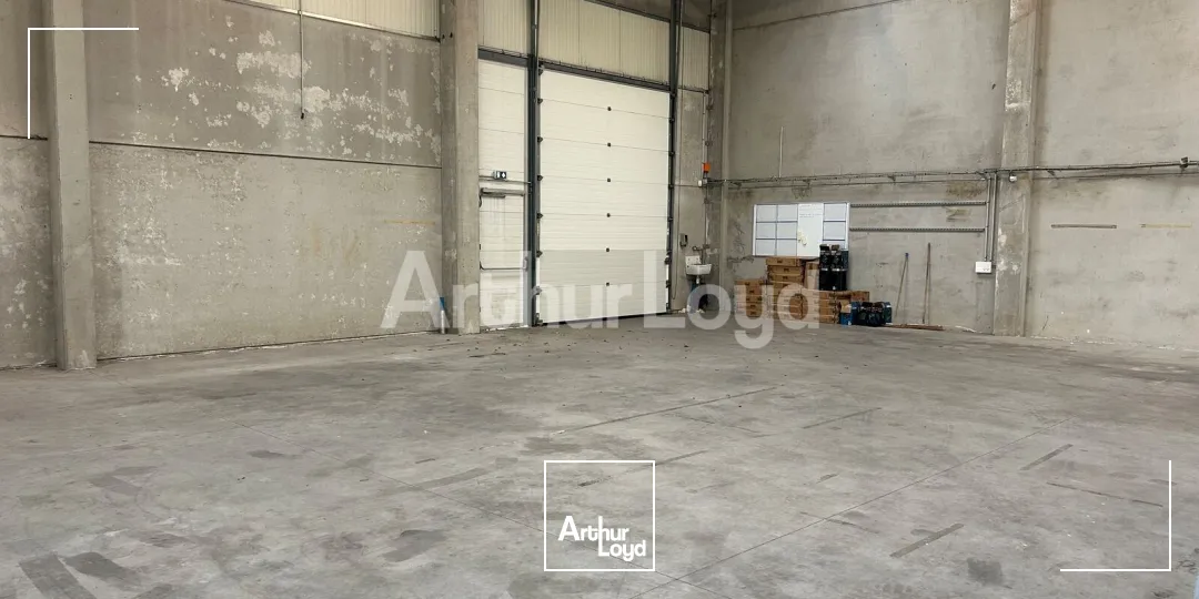 Locaux d'activité & Entrepôts - Location - TEMPLEMARS - 59175 - 545-545 - 7951721