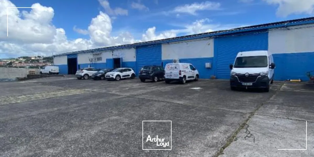 Locaux d'activité & Entrepôts - Location - Fort De France - 97200 - 260-260 - 7951927