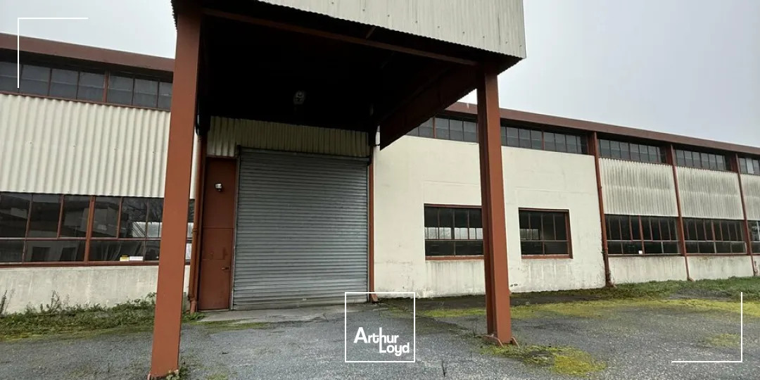 Bureaux - Location - TERRASSON-LAVILLEDIEU - 24120 - 1213-1213 - 7952903