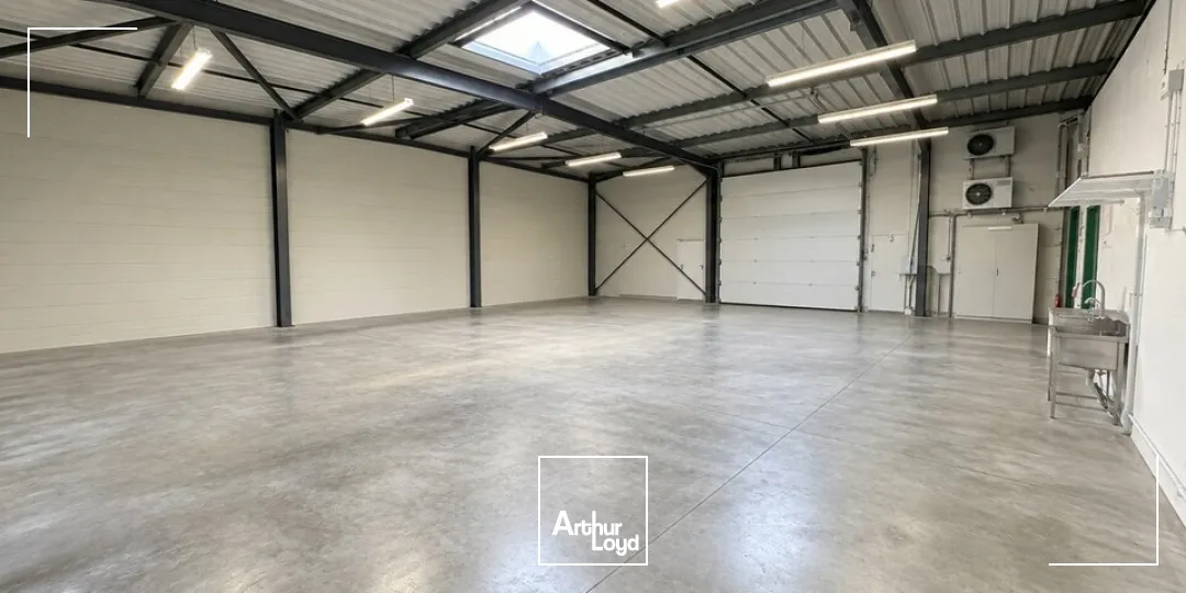 Locaux d'activité & Entrepôts - Vente - NEUILLÉ-PONT-PIERRE - 37360 - 280-280 - 7953009