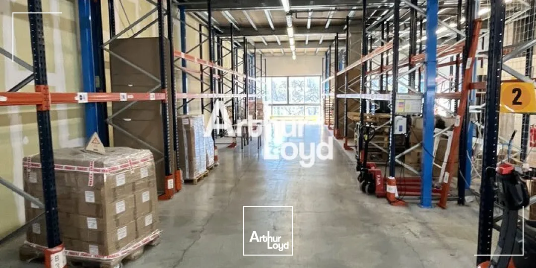 Locaux d'activité & Entrepôts - Location - MOUGINS - 06250 - 580-580 - 7953936