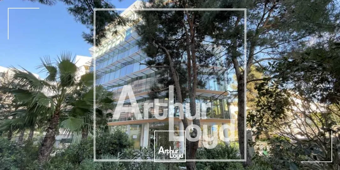 Bureaux - Location - CASTELNAU LE LEZ - 34170 - 79.66-79.66 - 7956243
