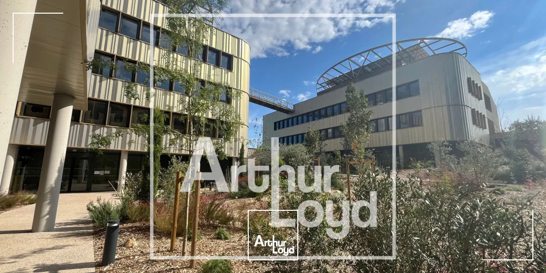 Bureaux - Location - CASTELNAU LE LEZ - 34170 - 119-119 - 7956280