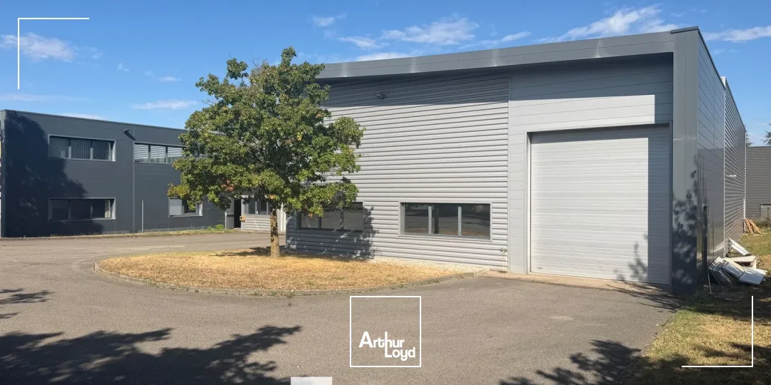 Locaux d'activité & Entrepôts - Vente - RILLIEUX LA PAPE - 69140 - 1995-1995 - 7956823