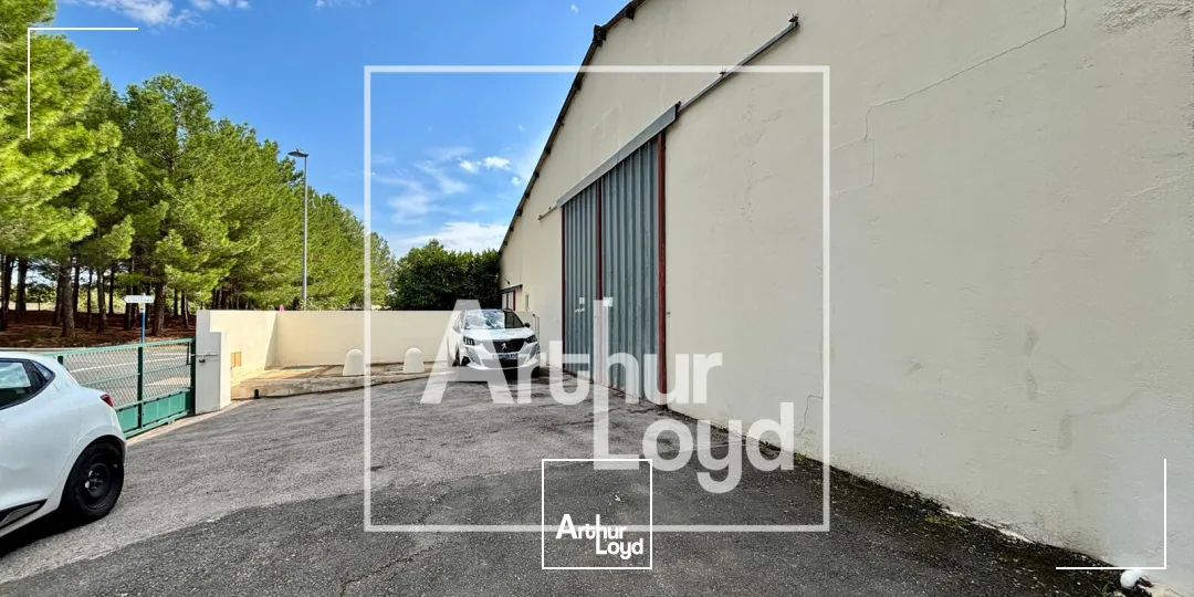 Locaux d'activité & Entrepôts - Location - FABREGUES - 34690 - 109-581 - 7957408