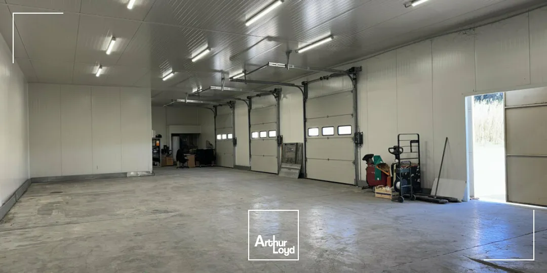 Locaux d'activité & Entrepôts - Vente - NOVES - 13550 - 1600-1600 - 7958174