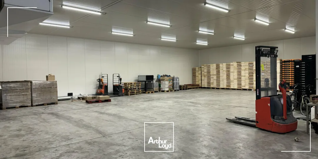 Locaux d'activité & Entrepôts - Vente - NOVES - 13550 - 1600-1600 - 7958175