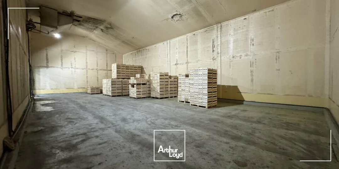 Locaux d'activité & Entrepôts - Vente - NOVES - 13550 - 1600-1600 - 7958177