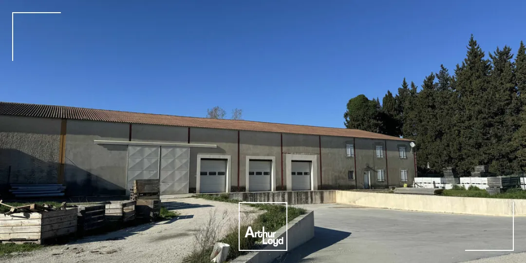 Locaux d'activité & Entrepôts - Vente - NOVES - 13550 - 1600-1600 - 7958172
