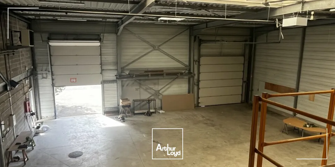 Locaux d'activité & Entrepôts - Vente - HAGUENAU - 67500 - 880-880 - 7958202