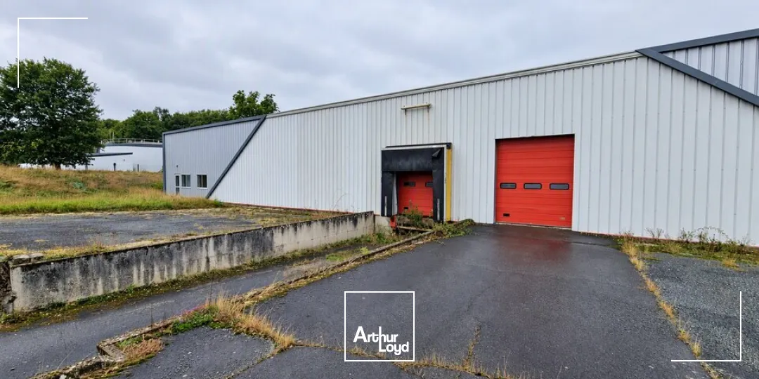 Locaux d'activité & Entrepôts - Vente - LIGUGÉ - 86240 - 1553-1553 - 7958265