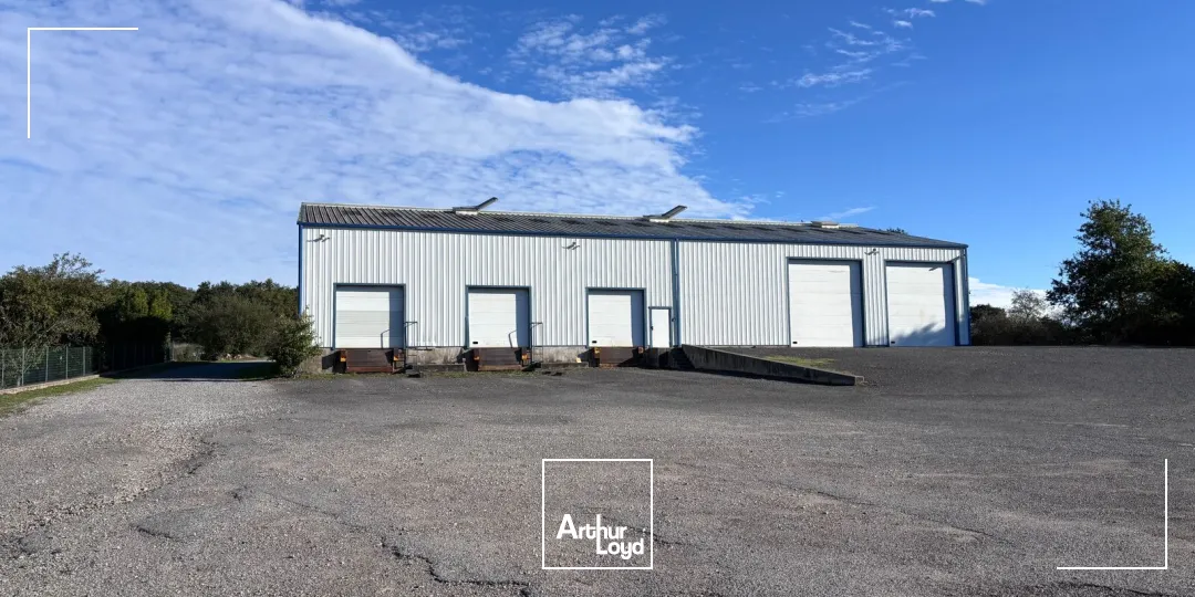 Locaux d'activité & Entrepôts - Vente - LE BIGNON - 44140 - 920-920 - 7958733