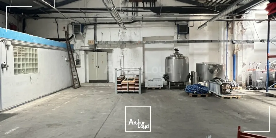 Locaux d'activité & Entrepôts - Location - COLMAR - 68000 - 100-1519 - 7959282