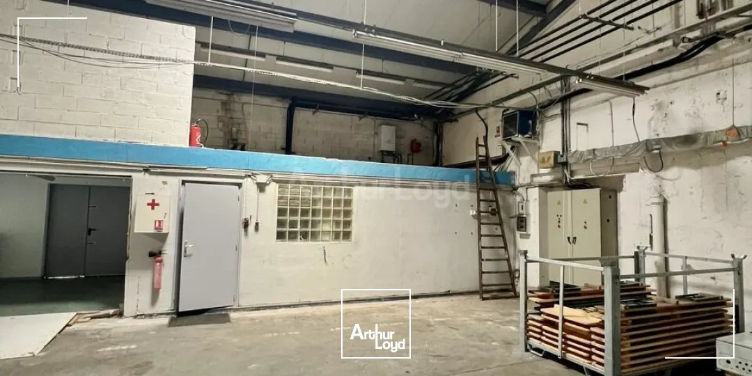 Locaux d'activité & Entrepôts - Location - COLMAR - 68000 - 100-1519 - 7959281
