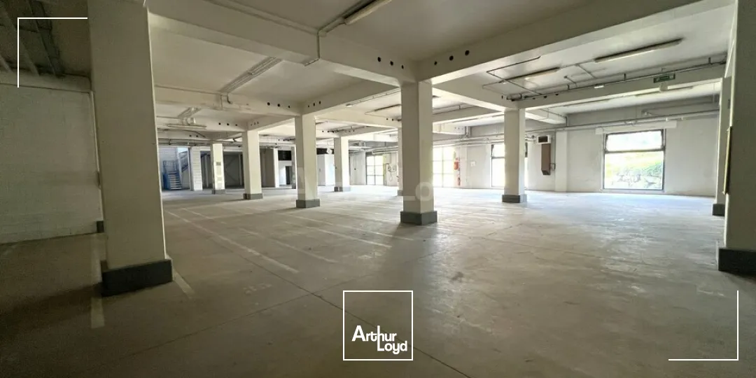 Locaux d'activité & Entrepôts - Location - COLMAR - 68000 - 50-1497 - 7959293