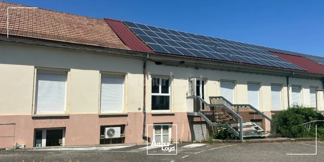 Locaux d'activité & Entrepôts - Location - WINTZENHEIM - 68920 - 125-1247 - 7959305