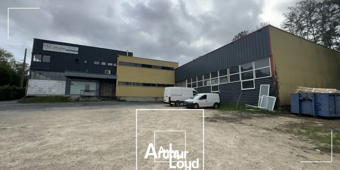 Locaux d'activité & Entrepôts - Location - BRIVE-LA-GAILLARDE - 19100 - 940-940 - 7959335
