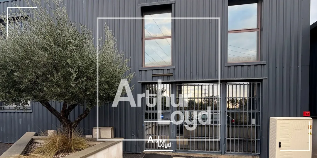 Locaux d'activité & Entrepôts - Location - SAINT JEAN DE VEDAS - 34430 - 115-115 - 7959555