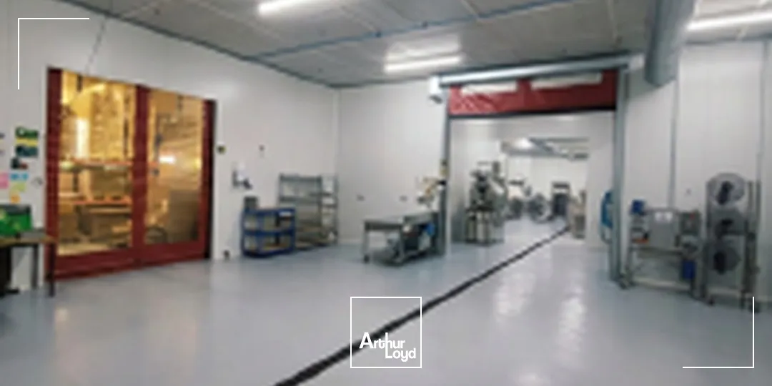 Locaux d'activité & Entrepôts - Location - CANEJAN - 33610 - 200-800 - 7959606