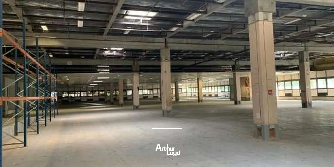 Locaux d'activité & Entrepôts - Location - CANEJAN - 33610 - 746-5266 - 7959615