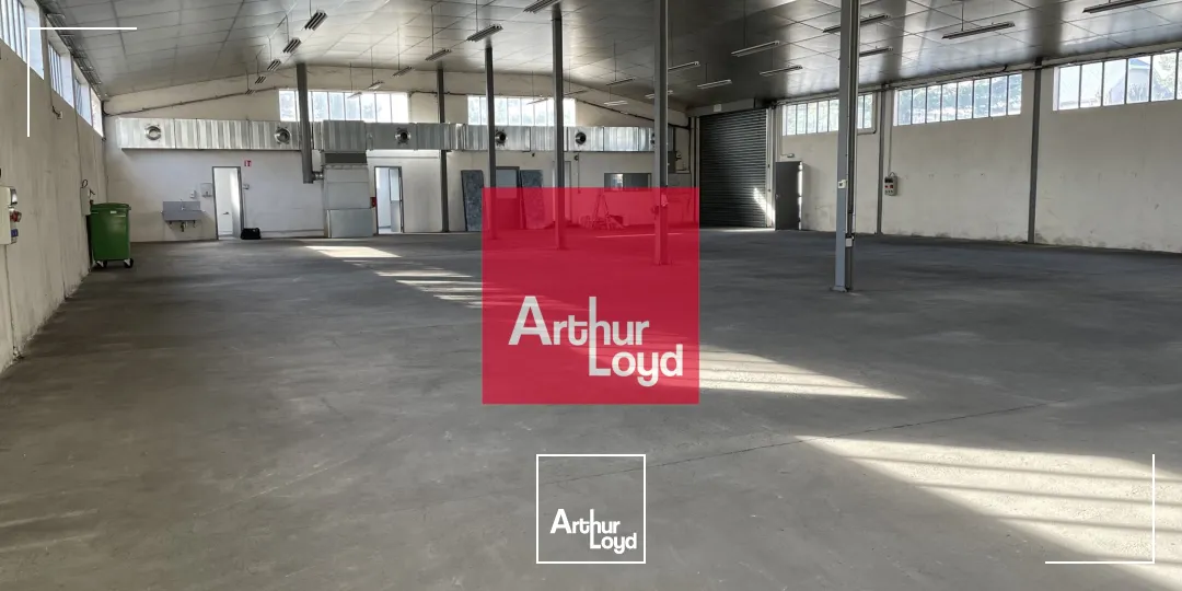 Locaux d'activité & Entrepôts - Location - SEYSSINET PARISET - 38170 - 700-700 - 7959633