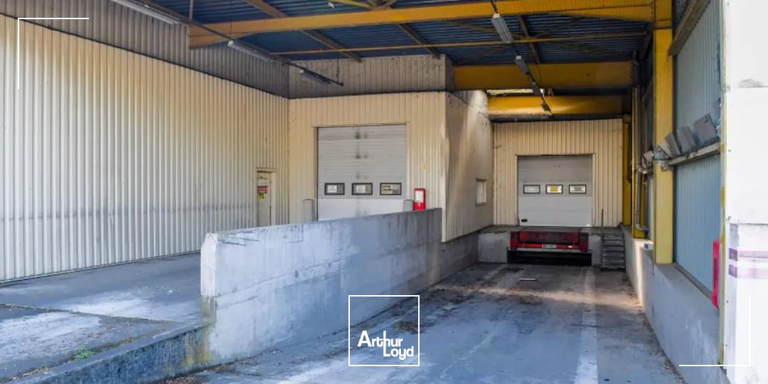 Locaux d'activité & Entrepôts - Location - LES ULIS - 91940 - 3009-3009 - 7959874