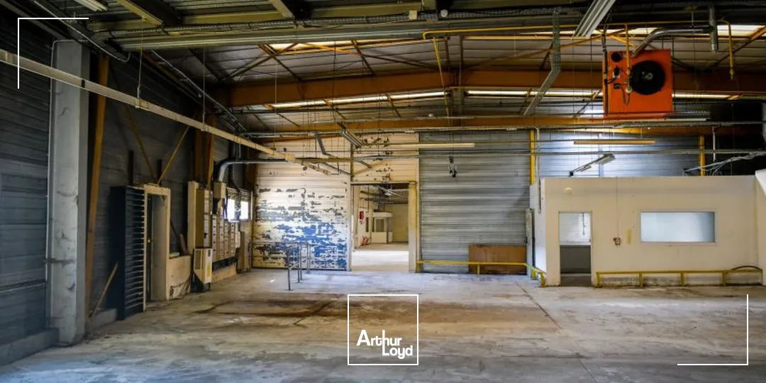 Locaux d'activité & Entrepôts - Location - LES ULIS - 91940 - 3009-3009 - 7959876