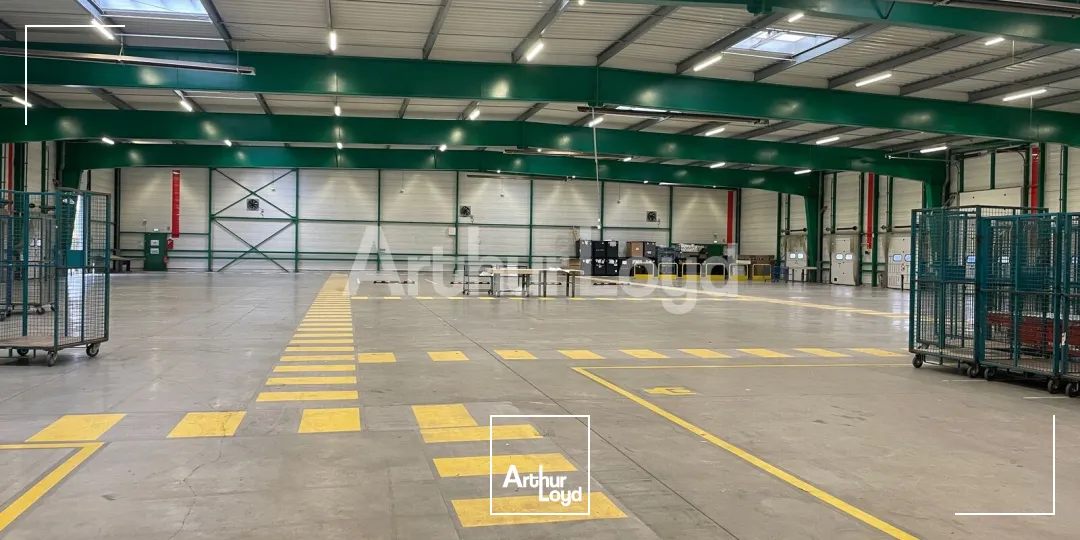 Locaux d'activité & Entrepôts - Location - SAINT LAURENT BLANGY - 62223 - 3020-3020 - 7959983