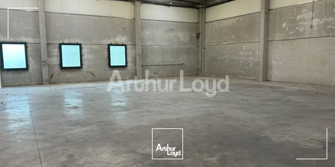 Locaux d'activité & Entrepôts - Location - TEMPLEMARS - 59175 - 545-545 - 7967320