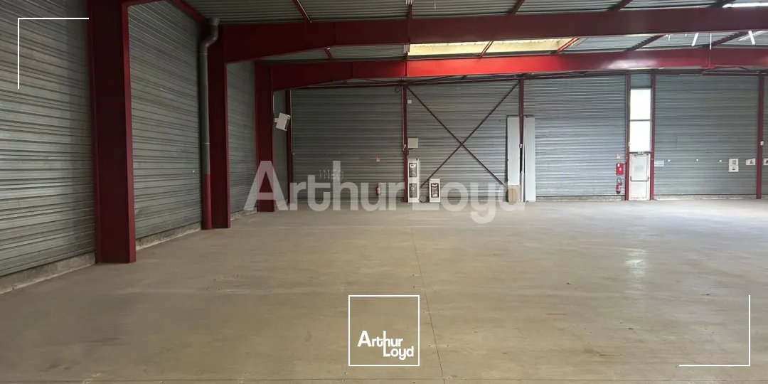 Locaux d'activité & Entrepôts - Location - AVELIN - 59710 - 1064-2964 - 7967461