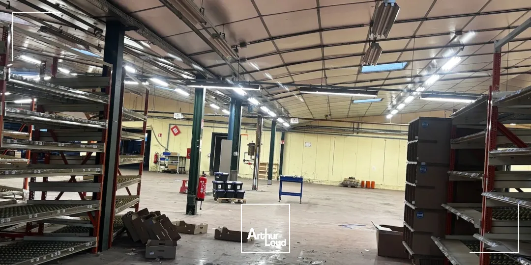 Locaux d'activité & Entrepôts - Vente - SAINT GALMIER - 42330 - 262-2755 - 7967684