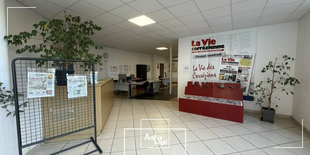 Bureaux - Location - BRIVE-LA-GAILLARDE - 19100 - 260-260 - 7969646