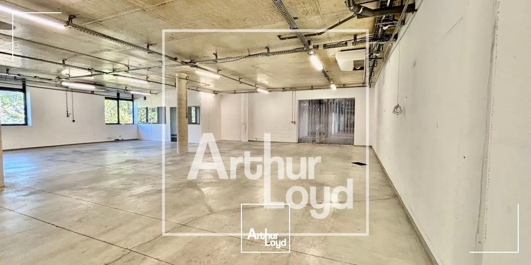 Locaux d'activité & Entrepôts - Vente - MONTPELLIER - 34080 - 2934.73-2934.73 - 7979612