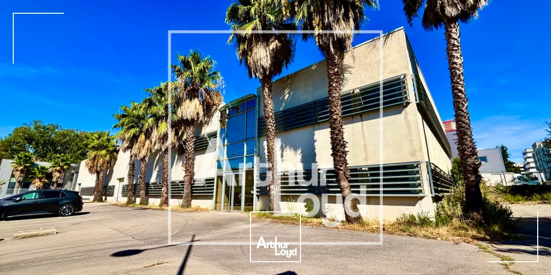 Locaux d'activité & Entrepôts - Vente - MONTPELLIER - 34080 - 2934.73-2934.73 - 7979619
