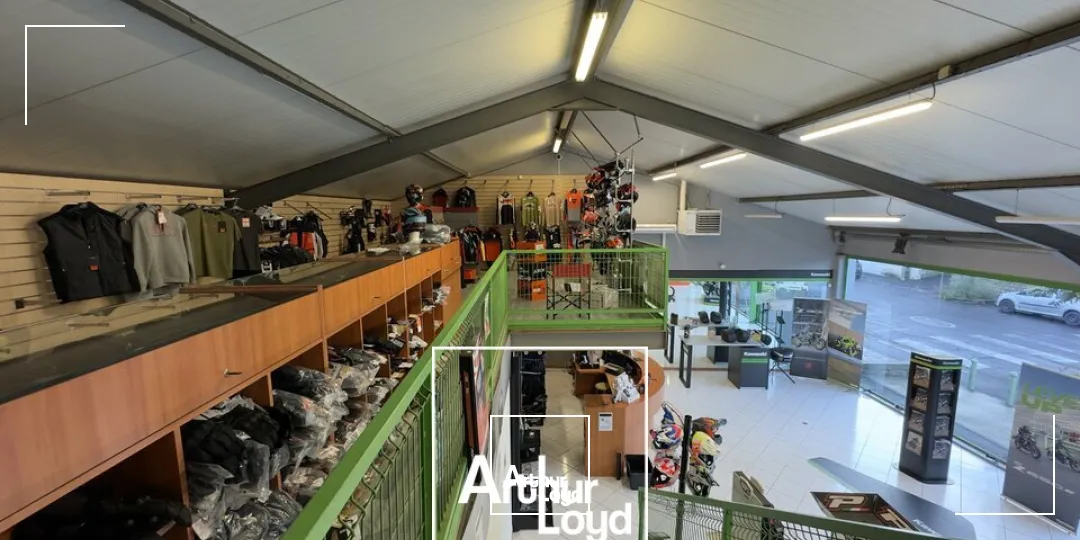 Locaux commerciaux - Location - BRIVE-LA-GAILLARDE - 19100 - 300-300 - 7980370