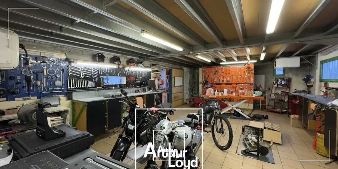 Locaux commerciaux - Location - BRIVE-LA-GAILLARDE - 19100 - 300-300 - 7980373