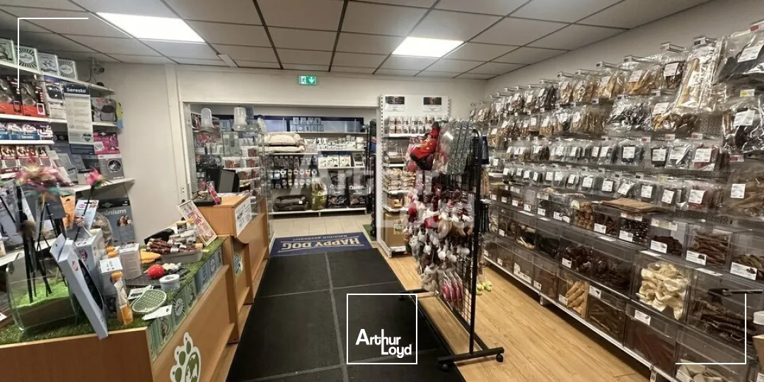 Locaux d'activité & Entrepôts - Vente - BAIN-DE-BRETAGNE - 35470 - 585-585 - 7980398