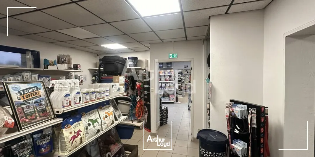 Locaux d'activité & Entrepôts - Vente - BAIN-DE-BRETAGNE - 35470 - 585-585 - 7980399