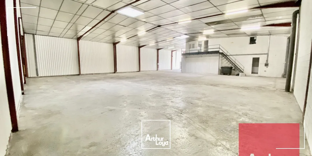Locaux d'activité & Entrepôts - Location - SAINT JEAN DE VEDAS - 34430 - 600-600 - 7980719