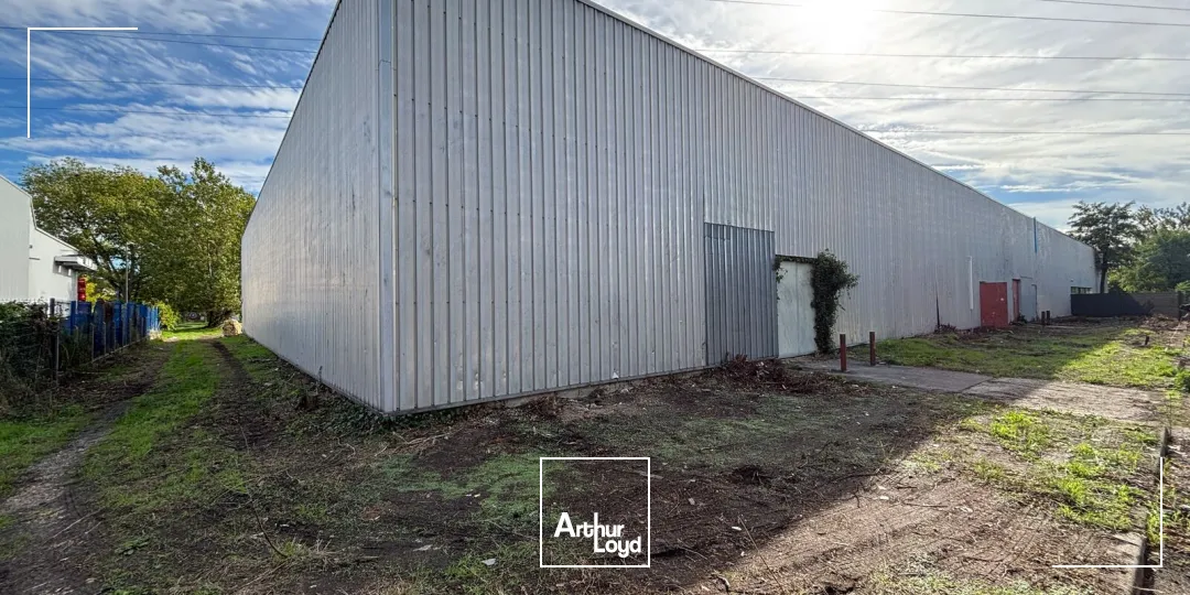 Locaux commerciaux - Location - BORDEAUX - 33000 - 267-617 - 7980750